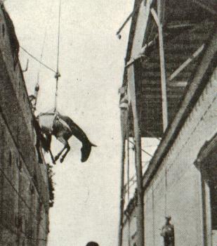 Loading a mule aboard the Transport Manitoba